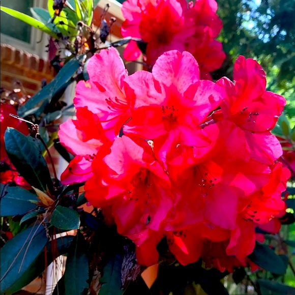 Make Me A Reasonable Offer—Buy with confidence. - Picture 1 of 9